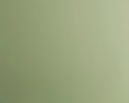 Left Parallax Background Element